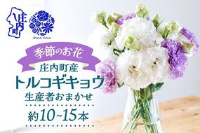 【R8.9月下旬から11月初旬】トルコキキョウ 10本から15本 切り花 生産者おまかせ 2~3色ミックス 白 紫 緑 トルコギキョウ 秋限定 仏花 結婚祝い 旬の花 季節の花 八重咲き フリンジ咲き 花 生花 花束 冷蔵便 国産 庄内町フラワーラボ