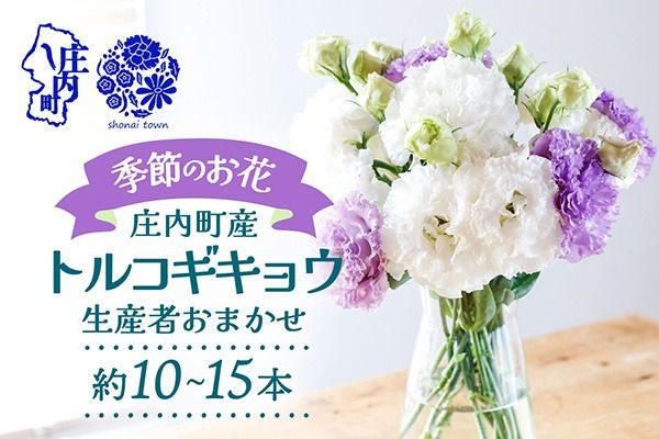 【R8.9月下旬から11月初旬】トルコキキョウ 10本から15本 切り花 生産者おまかせ 2~3色ミックス 白 紫 緑 トルコギキョウ 秋限定 仏花 結婚祝い 旬の花 季節の花 八重咲き フリンジ咲き 花 生花 花束 冷蔵便 国産 庄内町フラワーラボ