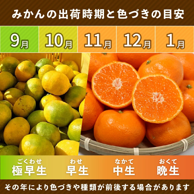 【先行予約】贈答品 愛媛みかん 10kg 傷み補償 500g 増量 発送期間 2026年11月上旬以降 みかん 愛媛みかん 温州みかん 南柑20号 柑橘 蜜柑 かんきつ 冬 秋 旬 正月 愛媛 愛媛県 愛南町 お歳暮 プレゼント くだもの 果物 フルーツ スイーツ おやつ お菓子 和菓子 甘い 糖度 オレンジ 冷凍 みかん ジュース 清家ばんかんビレッジ