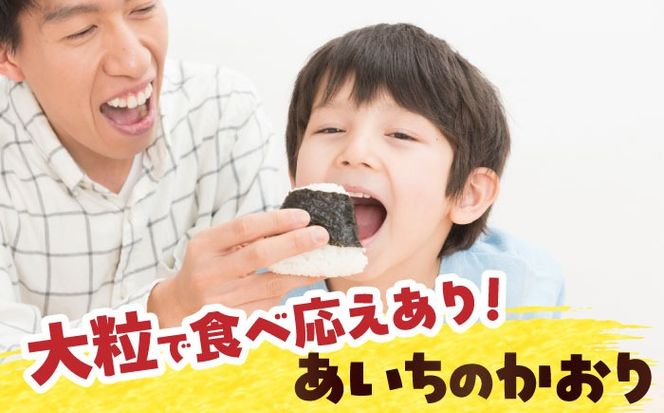 【3回定期便】あいちのかおり　玄米　10kg　お米　ご飯　愛西市／株式会社戸倉トラクター[AECS016]