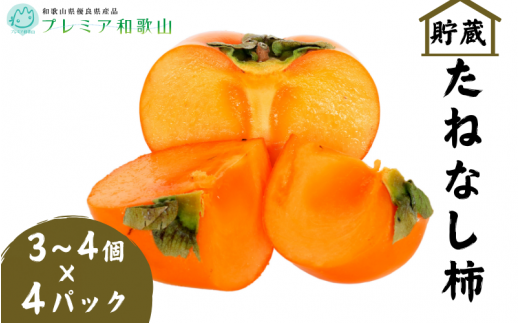 ya̎RI쒬zqv~Aa̎RFir˂Ȃ` 3~4×SpbNy2025N12{`2026N1{܂łɏzD_/`  햳` ˂Ȃ` ʕ t[c a̎R yagy008z
