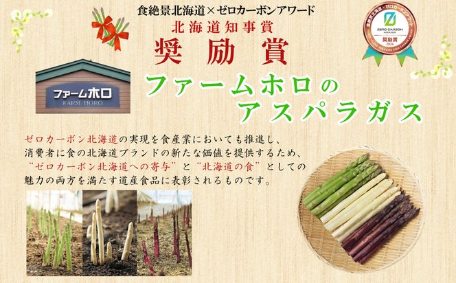 ＜2026年4月中旬より順次発送＞ 北海道産 春採り グリーン アスパラガス 1kg Lサイズ  ＜予約受付＞