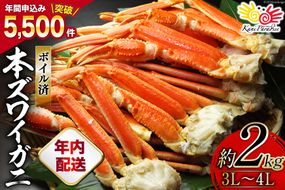 【年内配送 12/15まで受付】ボイル済み 本ずわいがに 脚 3L～4L 総重量 2kg [カネダイ 宮城県 気仙沼市 20564764] ズワイガニ ずわい蟹 ズワイ蟹 ずわい ズワイ 蟹 カニ 海鮮 魚介類 カニ脚 蟹脚 足 ボイル ご褒美