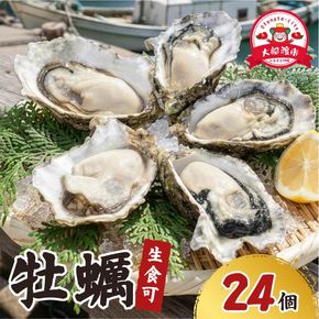生食 冷凍 牡蠣 殻付き牡蠣 春っこ 牡蠣 2袋 ( 12個入×2 )  冷凍 数量限定 かき カキ 殻付き牡蠣[funamoto004]