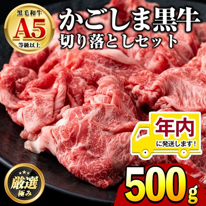 【0131703a】12月11日までのご入金で年内発送！鹿児島県産黒毛和牛！A5等級の切り落とし(約500g)牛肉 肉 切落し 切り落し 和牛 冷凍 国産 お肉 牛丼 野菜炒め カレー 冷凍【前田畜産たかしや】