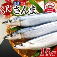 訳あり さんま 15本 (3尾×5パック) 冷凍 秋刀魚 大船渡 鮮さんま 冷凍さんま 大船渡さんま 刺身 刺し身 お刺身 海鮮 sanma SANMA 鮮魚 ごはん 夕飯 おかず 米 丼 岩手 三陸 [maruwa020]