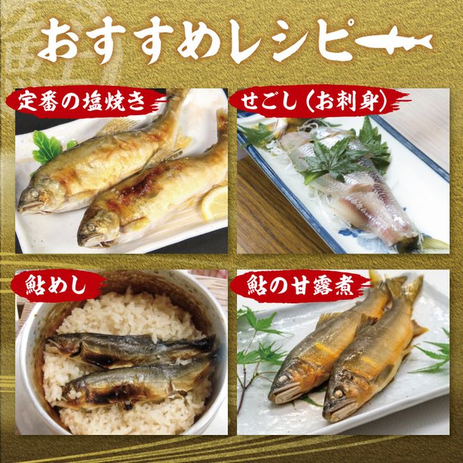 【夏季限定】清流 久慈川 天然鮎 6～7匹｜茨城県 大子町 あゆ 魚 川魚 冷凍（AA001）