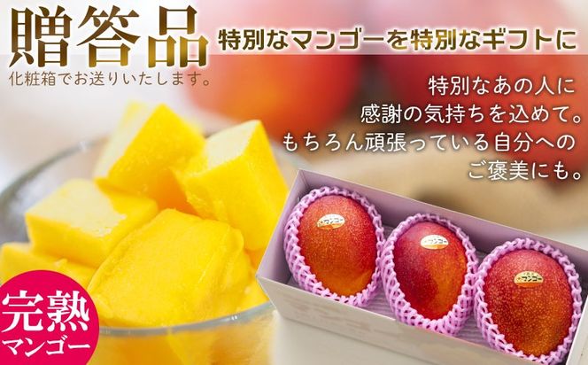 【2026年発送】農園一番人気の完熟アップルマンゴー秀品・約2kg農園から直送！ 秀品 先行予約 沖縄 甘味 糖度 濃厚 美味しい お土産 おいしい ギフト とろける甘さ 香り アーウィン 果汁 高級 箱入り 化粧箱入り 見た目 きれい 綺麗