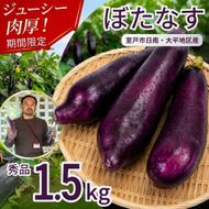【 伝統野菜 ぼたなす 秀品 1.5㎏ 】 なす ナス ボタナス 焼きナス ナスレシピ 野菜 とろける食感 クリーミー 人気 お取り寄せ 野菜セット 甘い 産地直送 新鮮 野菜 希少 吉良川町 日南 大平 集落活動センター ひなたぼっこ 高知県 室戸市