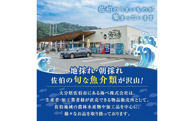 こだわりの塩うにセット(60g×2本)うに ウニ 雲丹 塩うに ミョウバン不使用 冷凍 海の直売所 大分県 佐伯市【AS162】【海べ】