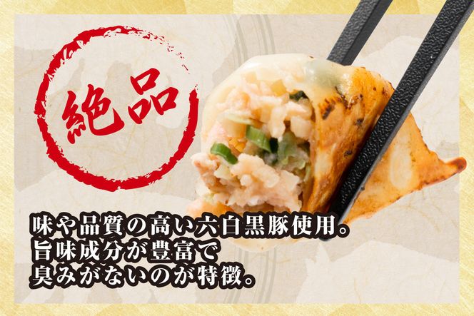 【大阪名物】大阪ふくちぁん黒豚餃子 冷凍生餃子 108個 ［36個入×3セット］ 272183_AY25