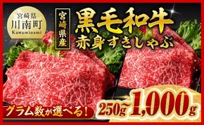 牛肉 ※発送月・内容量が選べる※宮崎県産黒毛和牛赤身すきしゃぶ250g～1000g 【 数量限定 牛肉 牛 肉 5等級 すき焼き すきやき しゃぶしゃぶ スライス 】 [ B00601 B00602 B00603 B00630 B00631 B00632 ]