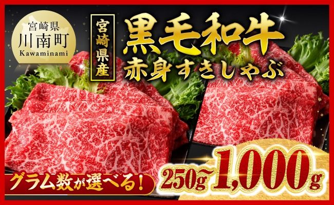 牛肉 ※発送月・内容量が選べる※宮崎県産黒毛和牛赤身すきしゃぶ250g～1000g 【 数量限定 牛肉 牛 肉 5等級 すき焼き すきやき しゃぶしゃぶ スライス 】 [ B00601 B00602 B00603 B00630 B00631 B00632 ]