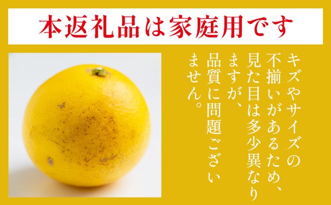 露地 小夏 5kg 家庭用 混合（M〜Lサイズ） フルーツ 果物 くだもの こなつ 5きろ ５キロ わけあり 訳あり 美味しい 高知県 香南市 nm-0005
