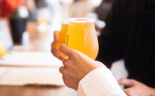 SHIMANTO Brewing オリジナル クラフトビール 3種 飲み比べ セット 瓶 3本 各 330ml 合計 990ml お酒 醸造所 直送 地ビール ビール 瓶ビール 父の日 母の日 誕生日 ギフト 高知 四万十 しまんと 26-0034