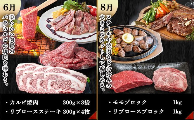 宮崎牛定期便(6回お届け) Eコース_N25-005-T6 宮崎牛 ウデ モモ バラ カルビ リブロース 肩ロース サーロイン スライス 切り落とし ブロック 焼肉 ステーキ