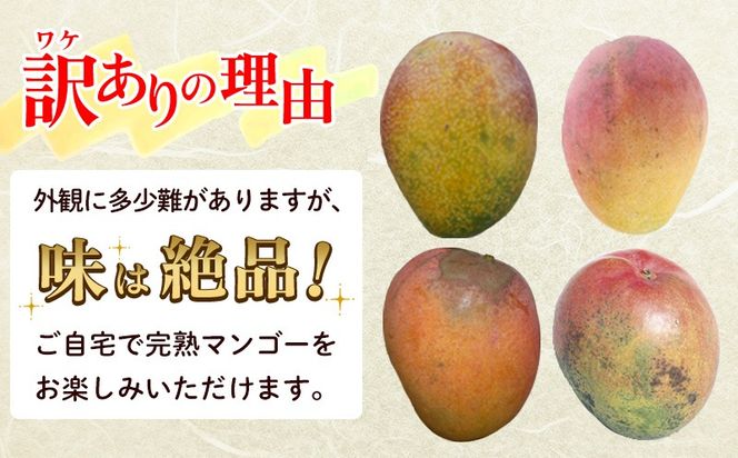 訳あり品【2025年発送】沖縄市 完熟マンゴー 約3kg（約1.5kg×2箱） 沖縄 先行予約 訳アリ フルーツ 果物 くだもの アップルマンゴー  アーウィン種 冷蔵 JA 家庭用 お試し 美味しい 甘い 旬 生産者応援 フードロス 人気 おすすめ お取り寄せ（沖縄県沖縄市） | ふるさと ...