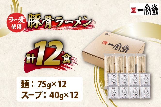 ラーメン 一風堂 とんこつラーメン 白丸 ラー麦麺 スープ 12食 セット [地域商社ふるさぽ 福岡県 筑紫野市 21761444] 博多 福岡 らーめん ラー麦 とんこつ 豚骨 博多ラーメン 豚骨ラーメン 白丸ラーメン