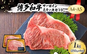 博多和牛 サーロインステーキ セット 1kg (250g×4枚)