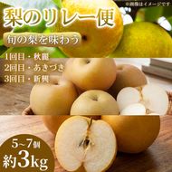 【旬の梨を味わう】熊本県産 リレー便(各5～7個 )(約3kg)(1回目)秋麗(2回目)あきづき(3回目)新興 梨 フルーツ 詰め合わせ 食べ比べ 甘い 濃厚 農家直送 ギフト 贈答用 家庭用 お取り寄せ 熊本県