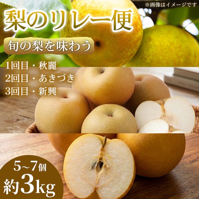 【旬の梨を味わう】熊本県産 リレー便(各5～7個 )(約3kg)(1回目)秋麗(2回目)あきづき(3回目)新興 梨 フルーツ 詰め合わせ 食べ比べ 甘い 濃厚 農家直送 ギフト 贈答用 家庭用 お取り寄せ 熊本県