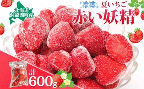 役に立ちます 冷凍カット果物 いちご100g×6袋 果物類 苺 イチゴ 冷凍 カット 果物 小分け 時短 弁当 簡単 調理 便利  国産 北海道 洞爺湖町