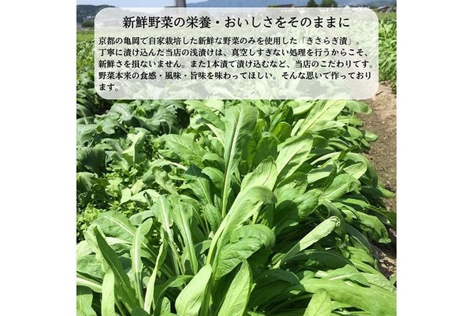 【定期便】＜京きさらぎ漬 えんけい＞季節の漬物 5種類×3回定期便《京漬物 京野菜 漬物 丹波》