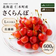 2027年発送 北海道 仁木町産  さくらんぼ 佐藤錦 600g（300g×2パック）Lサイズ以上 旬の果物 産地直送 サクランボ チェリー フルーツ 果物 果物類  仁木町 仁木 [JA新おたる]