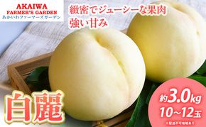桃 2026年 先行予約 白桃 白麗 約3.0kg 10～12玉 もも 岡山県 赤磐市産 フルーツ 果物 あかいわファーマーズガーデン 果物類