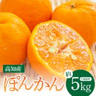 【CF-R7hbk】SKS027　訳あり “高知県産”ご家庭用ぽんかん（約5kg）〈須崎市共通返礼品〉みかん 農家直送 サイズ混合 有機質肥料100% ミカン 訳アリ ワケアリ 数量限定