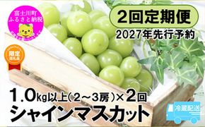【ふるプレ限定品】【2027年発送分 先行予約】【２回定期便】頬張る幸福感 ～緑の宝石・シャインマスカット～ 計２kg（1.0kg以上・2～3房を２回[9月上旬・下旬]お届け）※冷蔵発送※　シャイン シャインマスカット ぶどう 葡萄 ブドウ 定期便 ２回 果物 くだもの フルーツ 山梨 やまなし 富士川町 シャインだけ シャインマスカットだけ