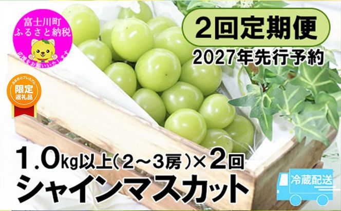 【ふるプレ限定品】【2027年発送分 先行予約】【２回定期便】頬張る幸福感 ～緑の宝石・シャインマスカット～ 計２kg（1.0kg以上・2～3房を２回[9月上旬・下旬]お届け）※冷蔵発送※　シャイン シャインマスカット ぶどう 葡萄 ブドウ 定期便 ２回 果物 くだもの フルーツ 山梨 やまなし 富士川町 シャインだけ シャインマスカットだけ