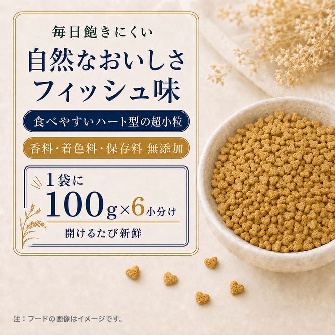 ビューティープロ キャット 子猫用 12ヵ月頃まで 600g ｘ10(ケース単位) キャットフード