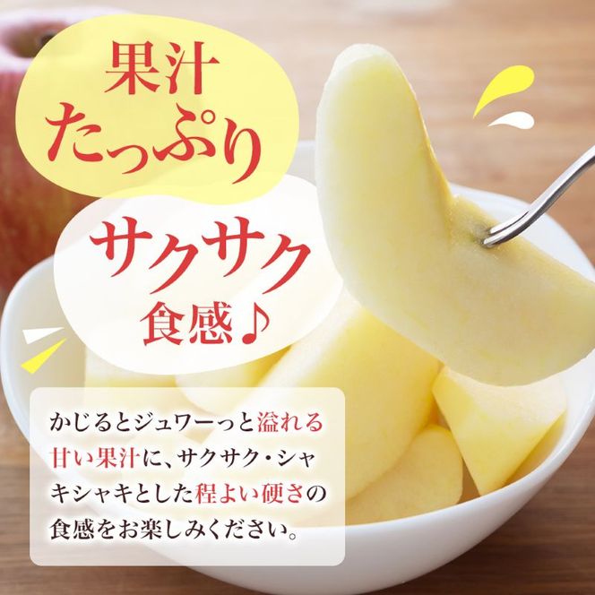【2026年10月中旬～発送予定】 先行予約 りんご シナノスイート 秀品 約5kg 12～20玉入 長野県産 果物類 林檎  リンゴ フルーツ 