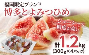 いちじく 博多とよみつひめ 300g×4パック いちじく イチジク 無花果 計1.2kg 福岡限定 フルーツ 果物 とよみつひめ 九州 福岡 ジューシー 糖度が高い スムージー フレッシュ 福岡県産【2025年8月以降順次発送予定】