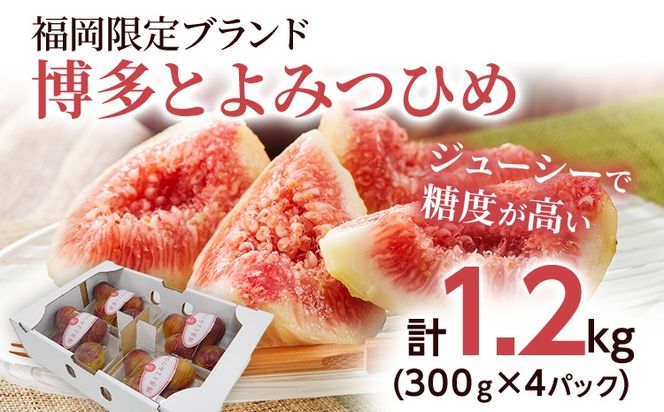 いちじく 博多とよみつひめ 300g×4パック いちじく イチジク 無花果 計1.2kg 福岡限定 フルーツ 果物 とよみつひめ 九州 福岡 ジューシー 糖度が高い スムージー フレッシュ 福岡県産【2026年7月下旬以降順次発送予定】