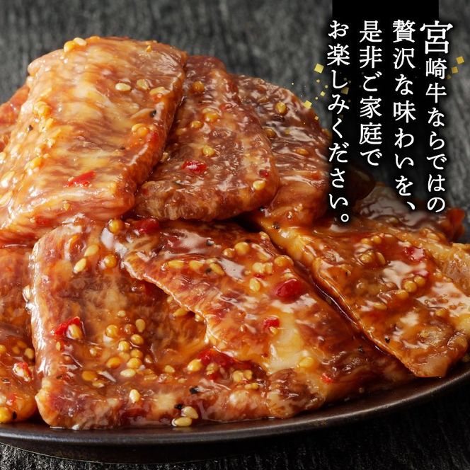 宮崎牛タレ漬け焼肉用450g N061-YA3345