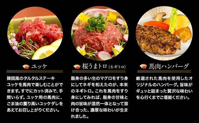 贅沢バラエティセット 520g 千興ファーム 馬肉 冷凍 《60日以内に出荷予定(土日祝除く)》 新鮮 さばきたて 生食用 肉 熊本県御船町 馬刺し 馬肉 惣菜 希少部位---mifune_snk_30_520g---