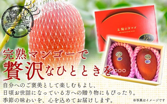 【先行予約 2026年発送】＜宮崎県産完熟マンゴー 太陽のタマゴ 3L 合計2玉＞入金確認後、2026年4月下旬～6月末迄に順次出荷【選べる 個数 内容量 大きさ サイズ 国産 かんじゅく とろける 果物 果実 フルーツ 南国 芳醇 甘い 旬（株）ワールドワイドトレード 宮崎県 国富町】【b0958_ww】