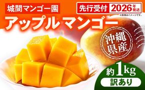 【先行受付】【2026年発送】城間マンゴー園のアップルマンゴー 訳あり 約1kg - 先行予約 沖縄県産 産地直送 南国フルーツ 旬の味覚 季節の果物 ご自宅用 訳アリ 家庭用 沖縄マンゴー 沖縄県 八重瀬町