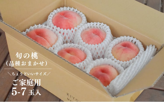 【2026年先行予約】旬採り桃 ご家庭用 5-7玉 (岡山県産) もも 真庭市 【KF-A004-02】