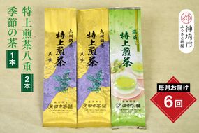 【毎月お届け6回】特上煎茶八重2本と季節のお茶1本(合計100g×3本)【田中茶舗 銘茶問屋 特上煎茶 八重 100g サエミドリ 甘い口当たり うま味 渋み 深み 九州】(H047120)