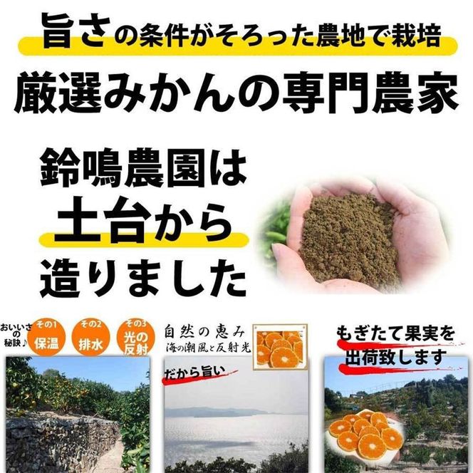 みかん 8kg ご家庭用　和歌山県有田川町産　有田みかん ありだみかん CE055