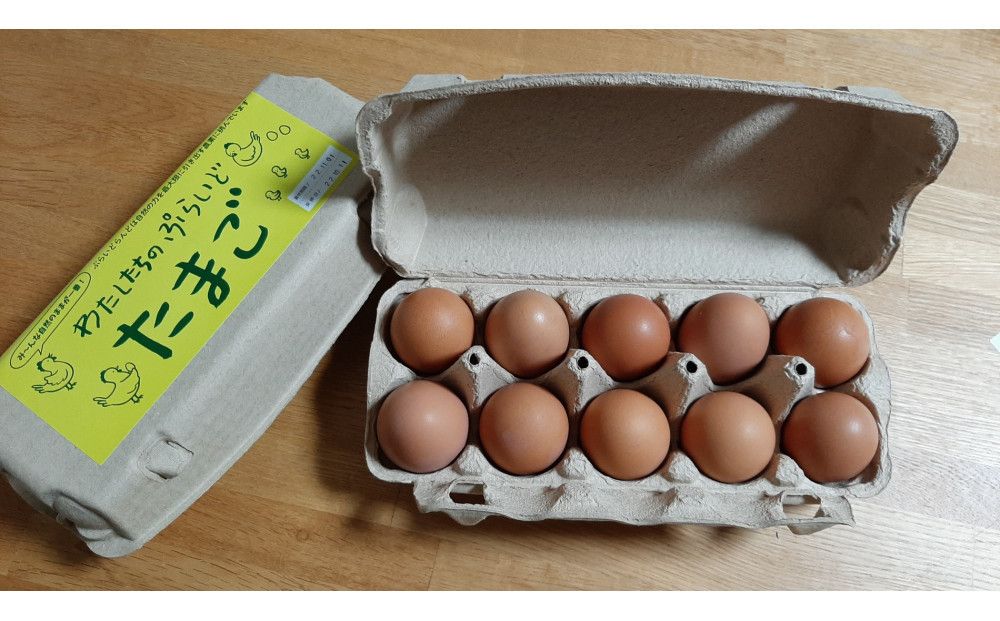 [定期便:12か月]単なる平飼いではない『わたしたちのぷらどたまご』6パック(60個)セット 141305_GX05