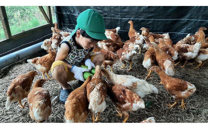 【定期便：12か月】単なる平飼いではない『わたしたちのぷらいどたまご』6パック（60個）セット 141305_GX05