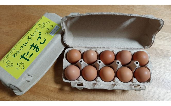 【定期便：6か月】単なる平飼いではない究極の卵『わたしたちのぷらいどたまご』6パック（60個）セット 141305_GX06