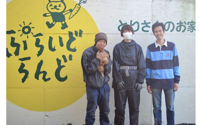 【定期便：6か月】単なる平飼いではない究極の卵『わたしたちのぷらいどたまご』6パック（60個）セット 141305_GX06