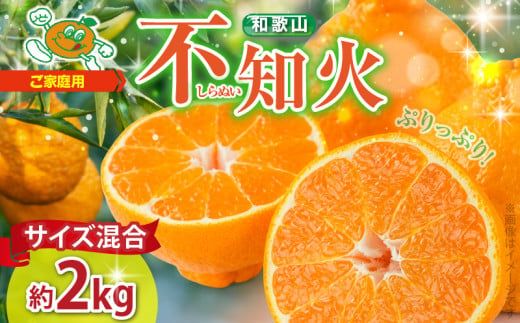 ZJ6071_不知火(しらぬい) オレンジ みかん 2kg 訳あり ご家庭用 サイズ混合