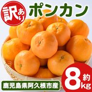 ＜先行予約受付中！2026年12月下旬以降順次発送予定＞ 訳あり！ポンカン(約8kg) 国産 ポンカン 柑橘 果物 フルーツ デザート 果実 期間限定 数量限定【古田果樹園】akn093-05