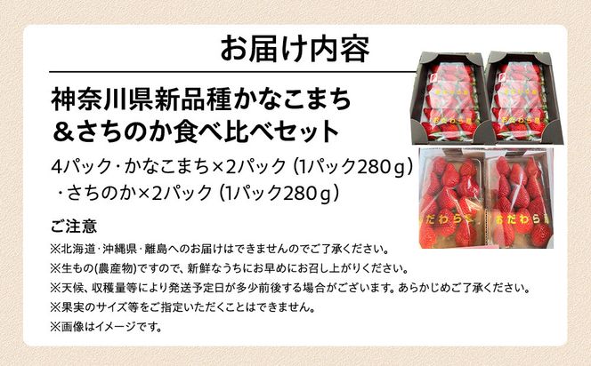 神奈川県新品種「かなこまち＆さちのか」食べ比べセット　完熟イチゴ　苺　4パック入り 142069_CP007